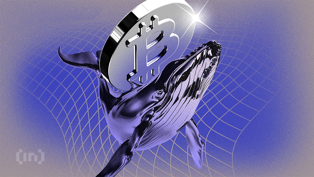 De plus en plus de Bitcoin deviennent anciens et inactifs ; pourquoi est-ce un problème ?